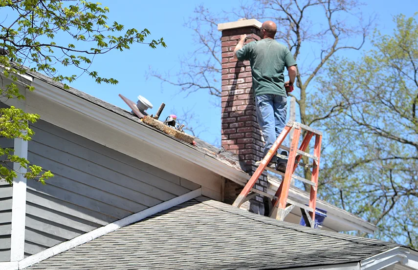 Chimney & Fireplace Inspections Services in Kenmore, WA